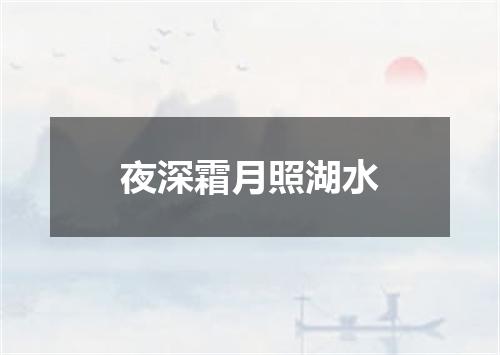 夜深霜月照湖水