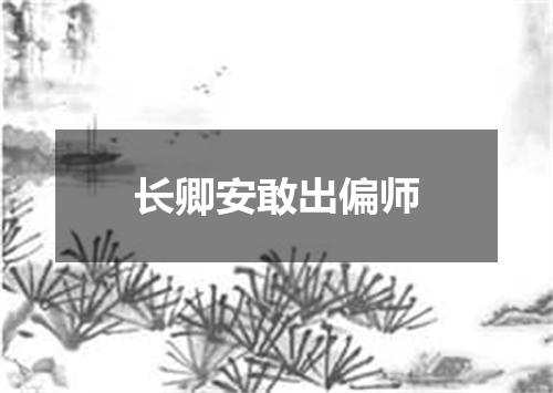 长卿安敢出偏师