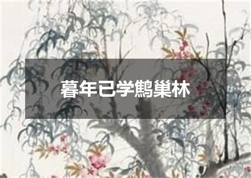 暮年已学鹪巢林