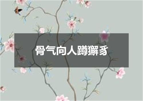 骨气向人蹲獬豸