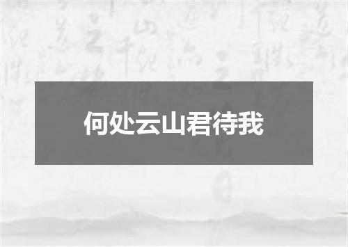 何处云山君待我