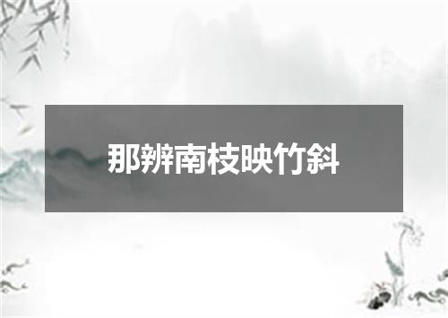 那辨南枝映竹斜