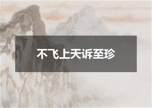 不飞上天诉至珍