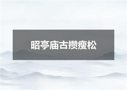 昭亭庙古攒瘦松