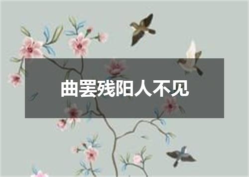 曲罢残阳人不见