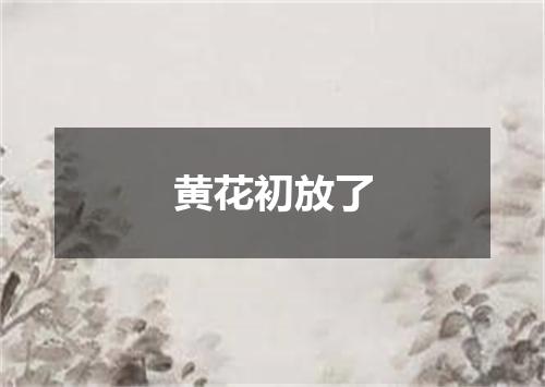 黄花初放了