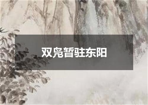 双凫暂驻东阳