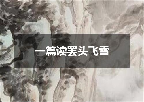 一篇读罢头飞雪