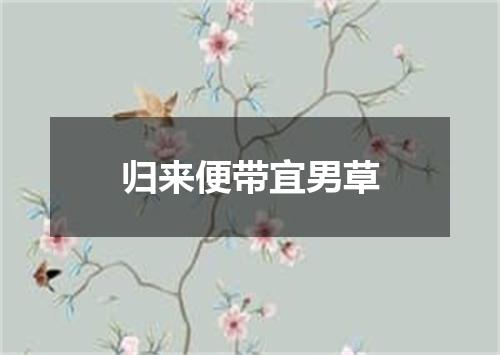 归来便带宜男草