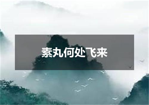 素丸何处飞来