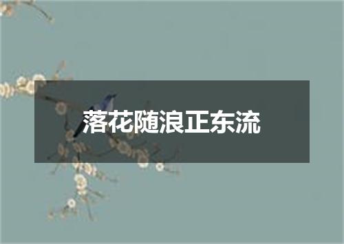 落花随浪正东流
