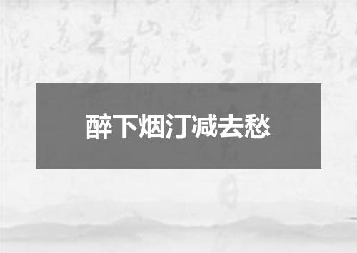 醉下烟汀减去愁