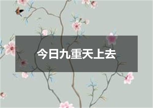 今日九重天上去