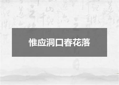 惟应洞口春花落