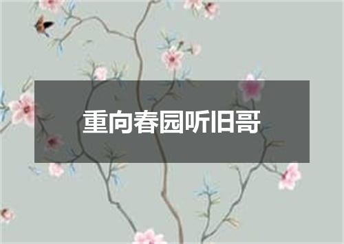 重向春园听旧哥