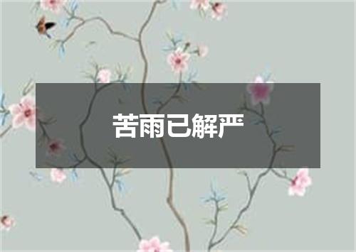 苦雨已解严