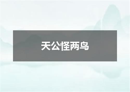 天公怪两鸟
