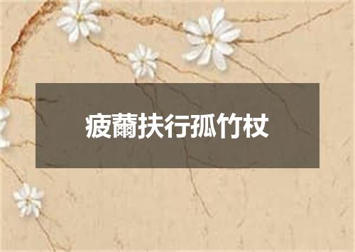 疲薾扶行孤竹杖