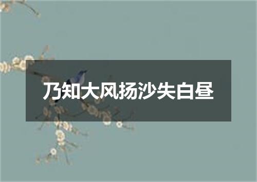 乃知大风扬沙失白昼