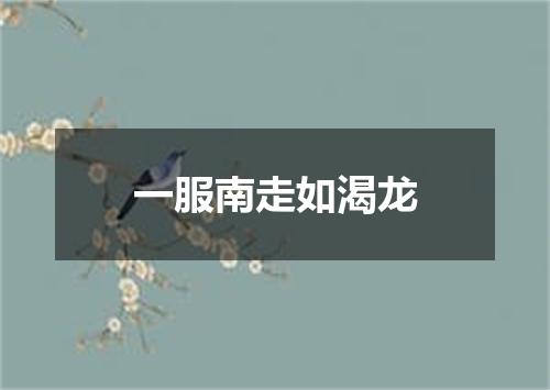 一服南走如渴龙
