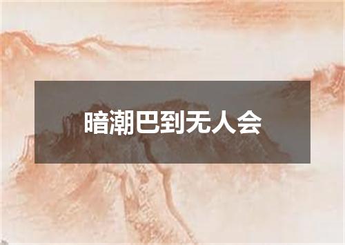 暗潮巴到无人会