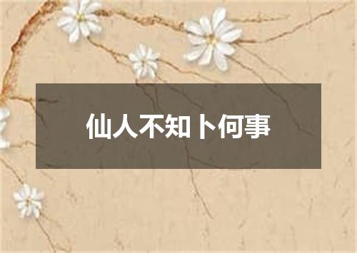 仙人不知卜何事