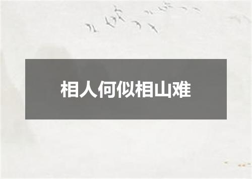 相人何似相山难