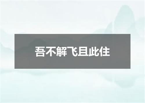 吾不解飞且此住