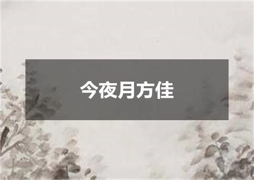 今夜月方佳