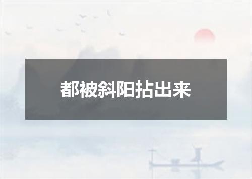 都被斜阳拈出来