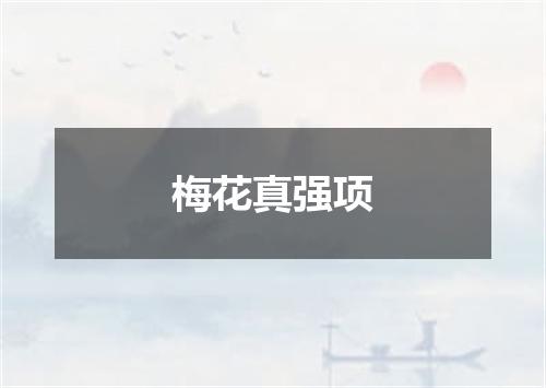 梅花真强项