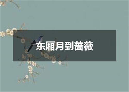 东厢月到蔷薇