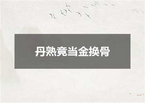 丹熟竟当金换骨