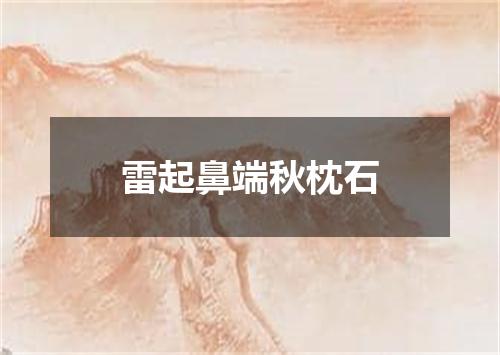 雷起鼻端秋枕石