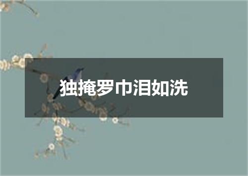 独掩罗巾泪如洗