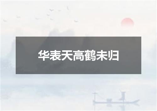华表天高鹤未归
