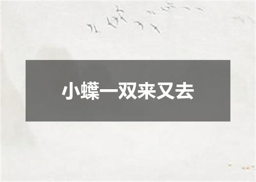 小蠂一双来又去