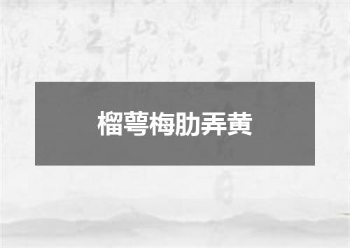 榴萼梅肋弄黄
