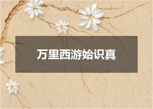 万里西游始识真