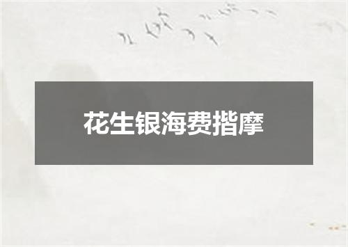 花生银海费揩摩