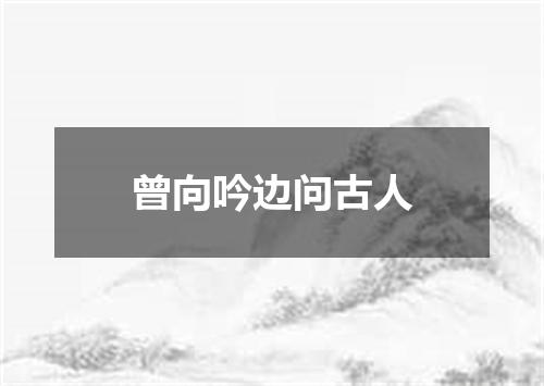 曾向吟边问古人