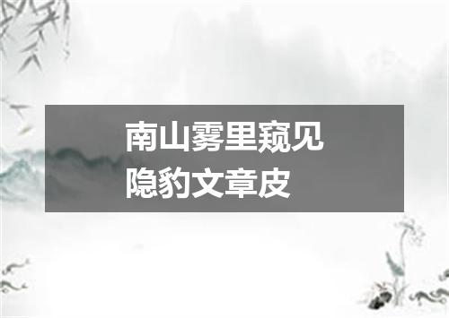 南山雾里窥见隐豹文章皮