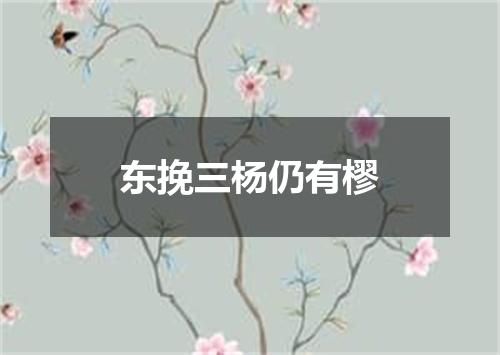 东挽三杨仍有樛