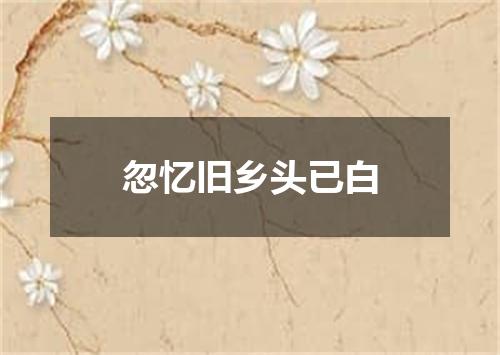 忽忆旧乡头已白