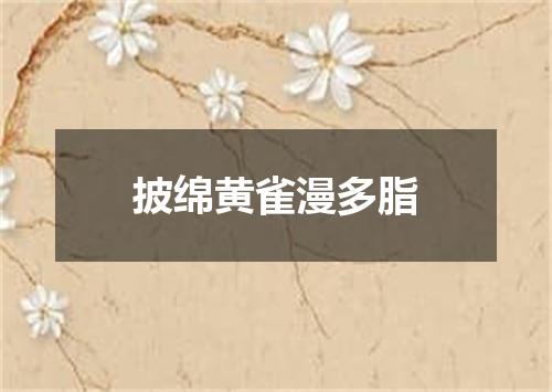 披绵黄雀漫多脂