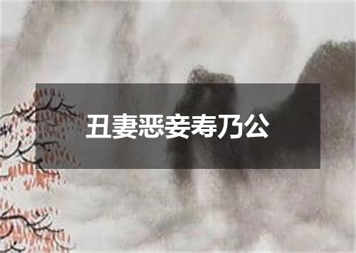 丑妻恶妾寿乃公