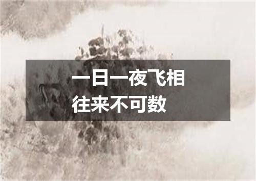 一日一夜飞相往来不可数