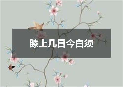 膝上几日今白须