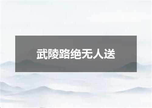 武陵路绝无人送