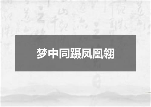 梦中同蹑凤凰翎